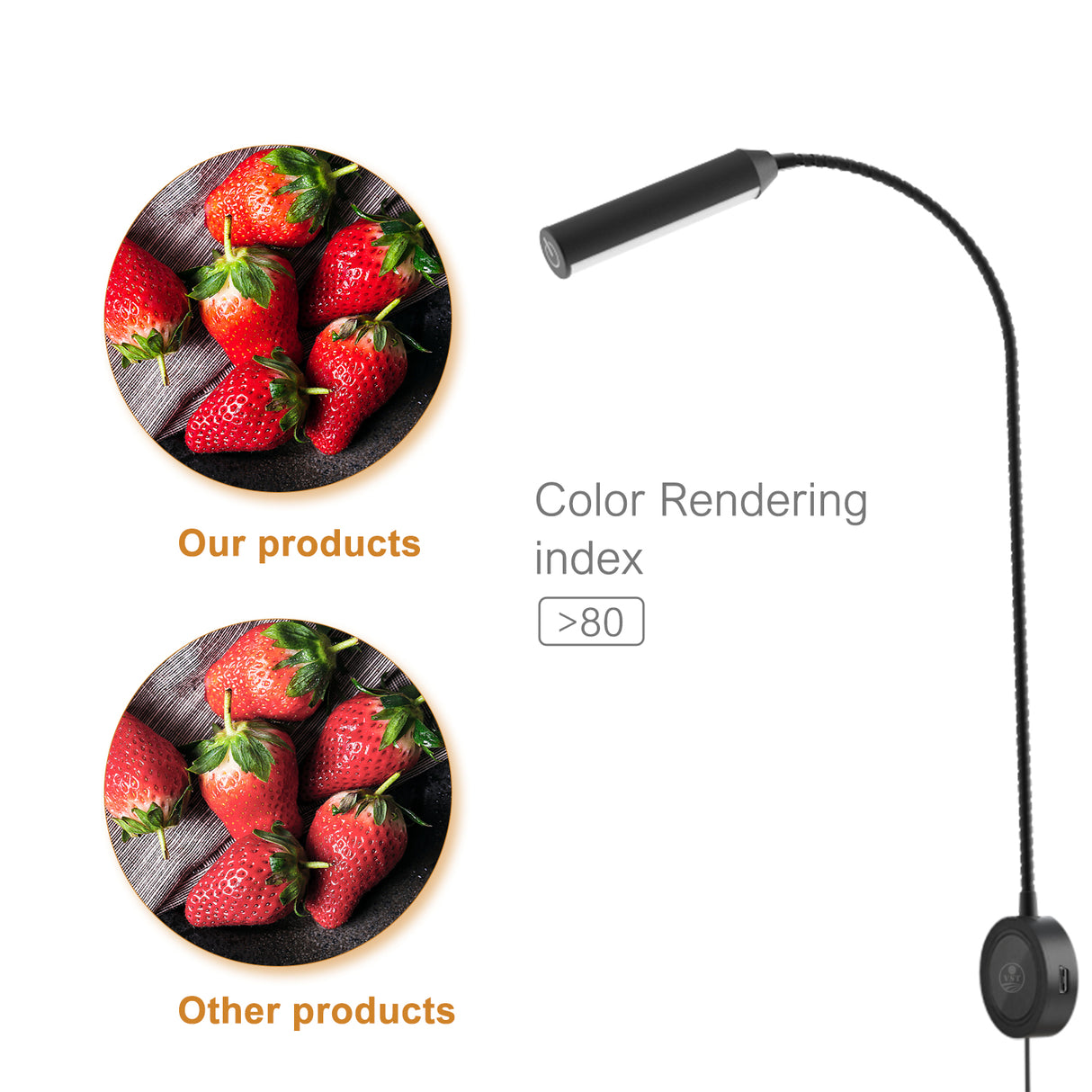 RL18 12V LED Reading Light, 14.1W with Adjustable CCT 2700K–6500K Wall Mounted Book Light with USB Charging Port for Offices, Dormitories(2 Packs)