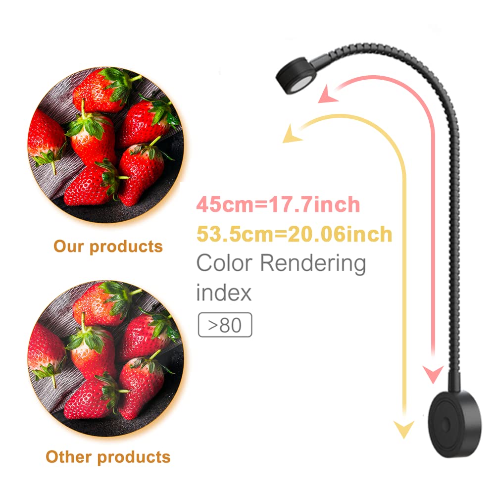 RL11 12V LED Reading Light 13W with 3000K Warm White, Wall Mounted Book Light with USB Charging Port for Bedrooms, Offices, Dormitories & Hotels(2 Packs)
