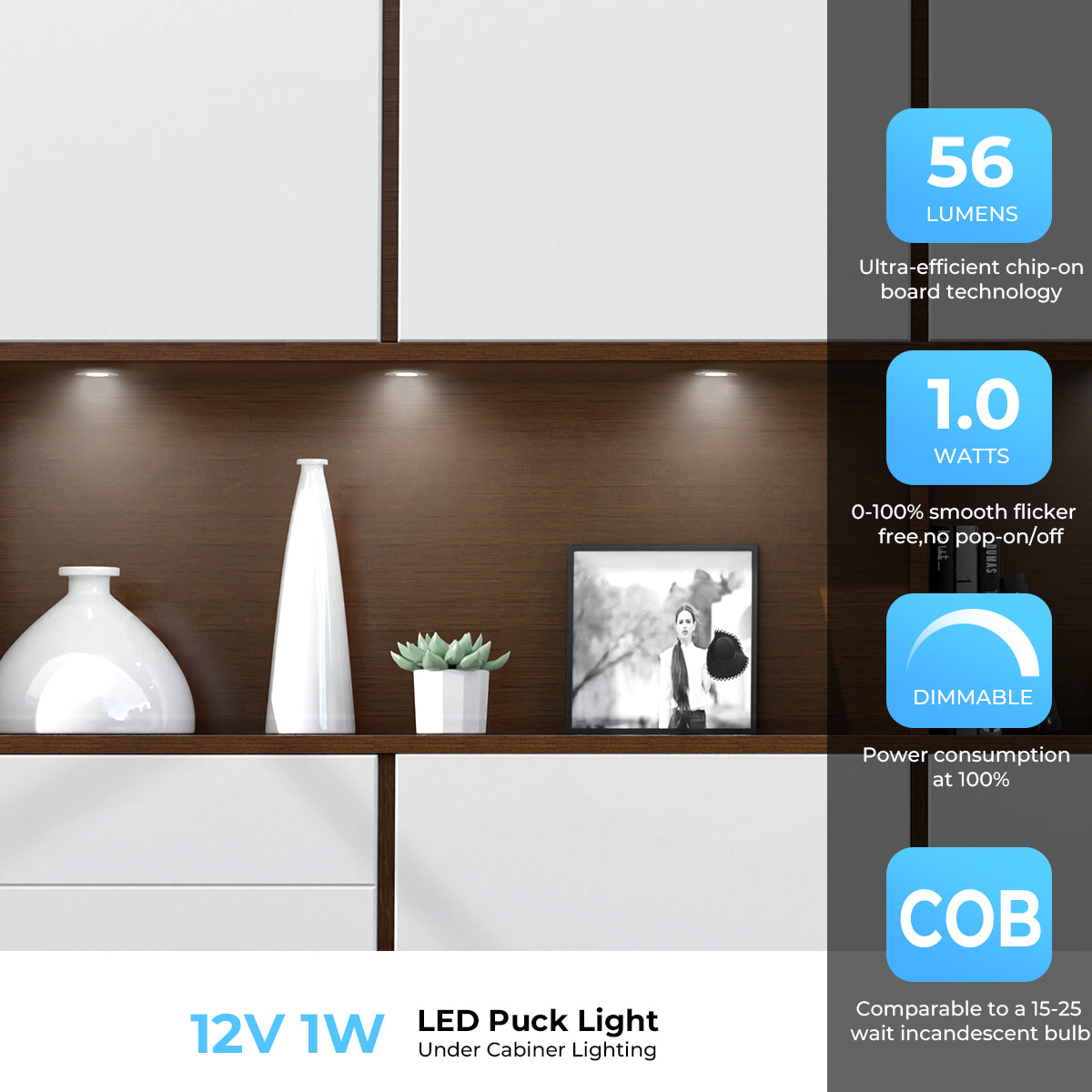CB31 12V 1W 4000K Mini LED Puck Light Recessed Mounted Panel Light for Studio Kitchen & Dining Room